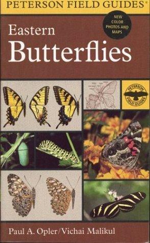 A field guide to eastern butterflies 