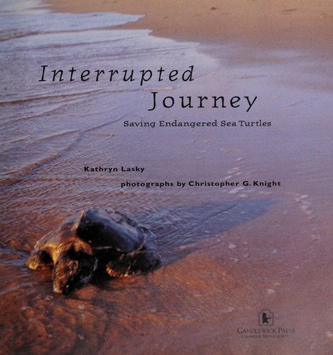 Interrupted journey 