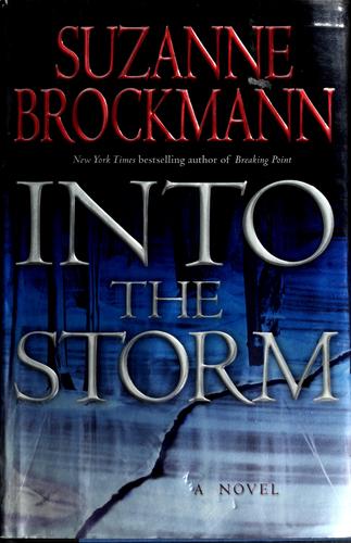 Into the storm : a novel 