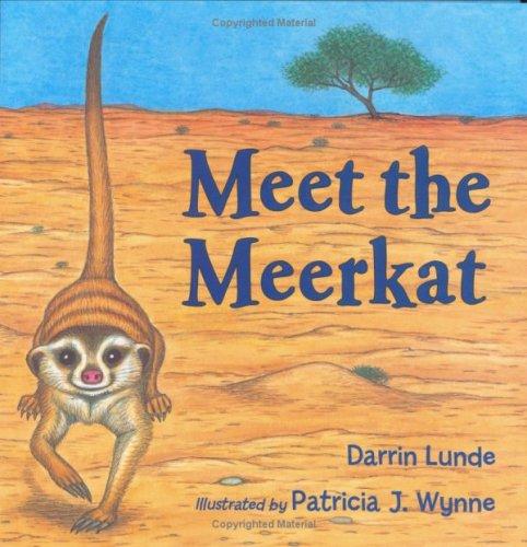 Meet the meerkat 
