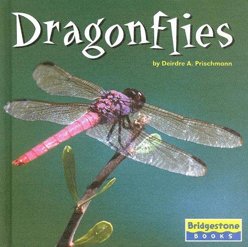 Dragonflies : World of insects