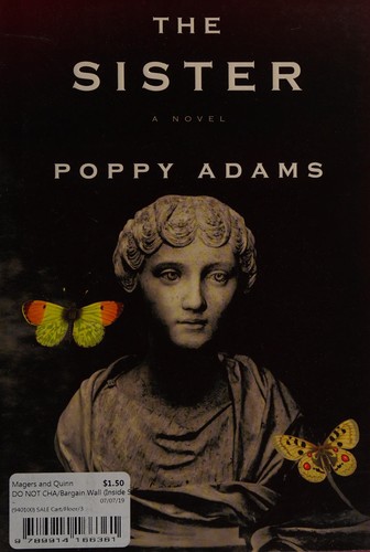 The sister : a novel 