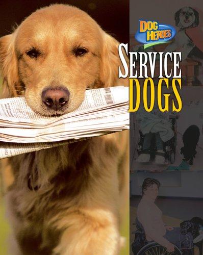 Service dogs 