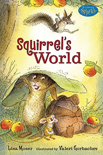 Squirrel's world 