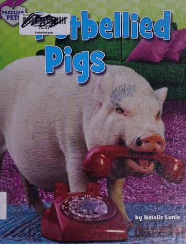 Potbellied pigs 
