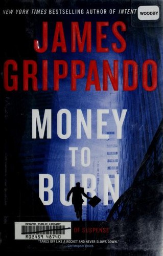 Money to burn : a novel of suspense 