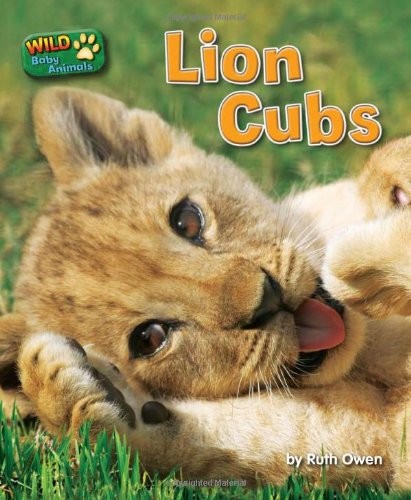 Lion cubs 