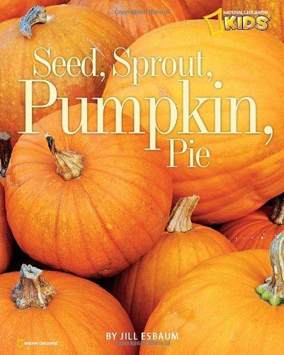 Seed, sprout, pumpkin, pie 