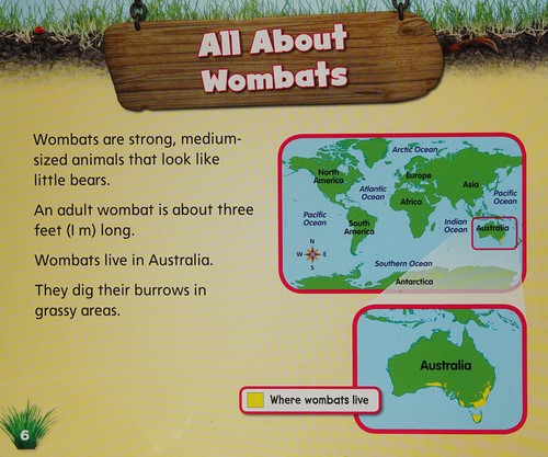 Wombat's burrow 