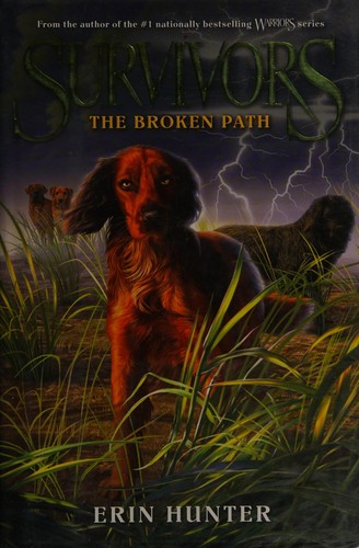 The broken path 