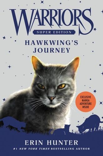 Hawkwing's journey 