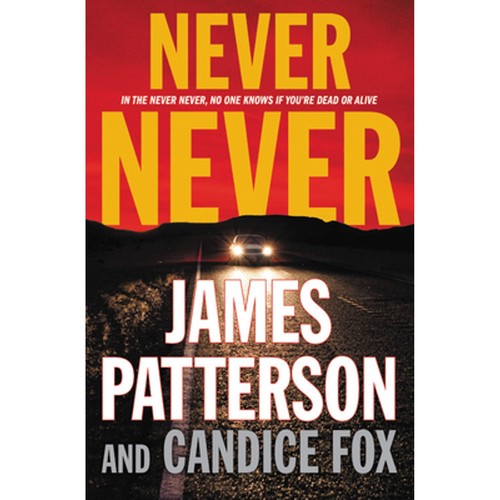 Never never : Detective Harriet Blue 