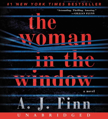 The woman in the window : a novel 