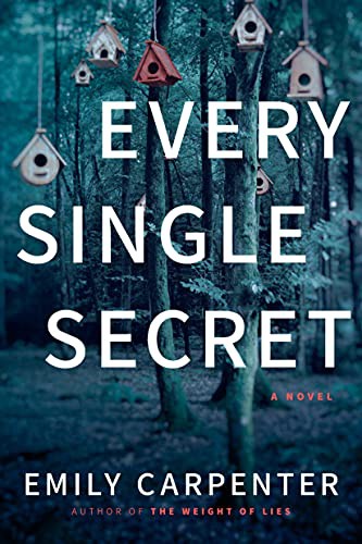 Every single secret : a novel 