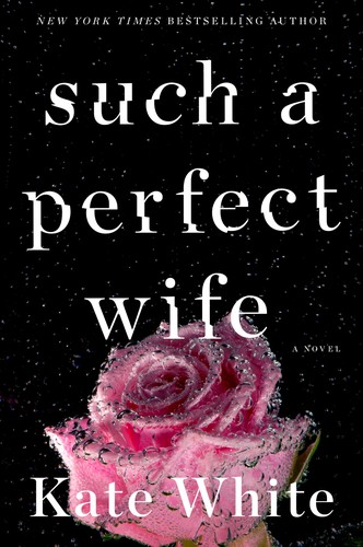Such a perfect wife : a novel 