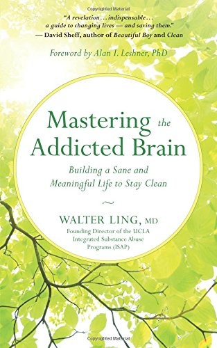 Mastering the addicted brain : building a sane and meaningful life to stay clean 