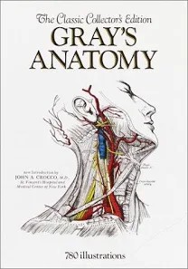 Gray's anatomy 