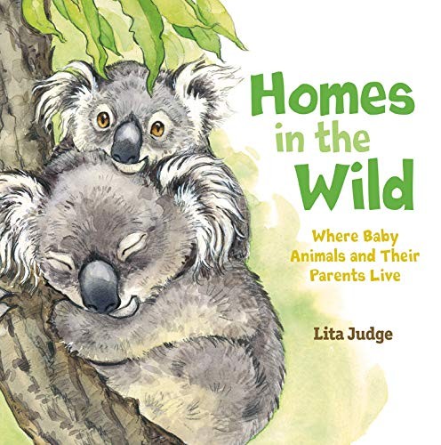 Homes in the wild : where baby animals and their parents live 