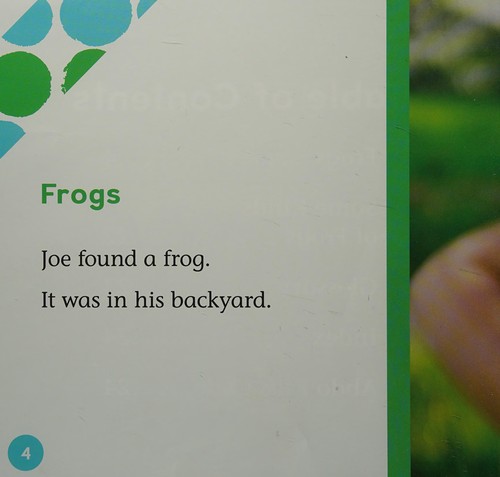 Frogs 