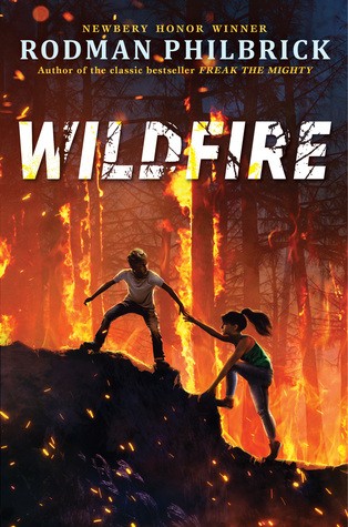 Wildfire : a novel 