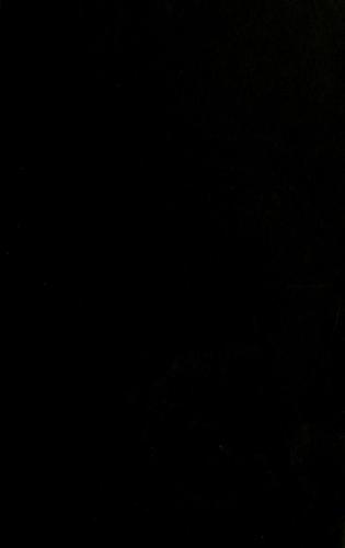 Magic hour : a novel 