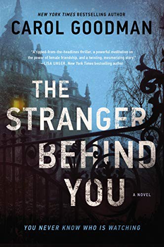 The stranger behind you : a novel 