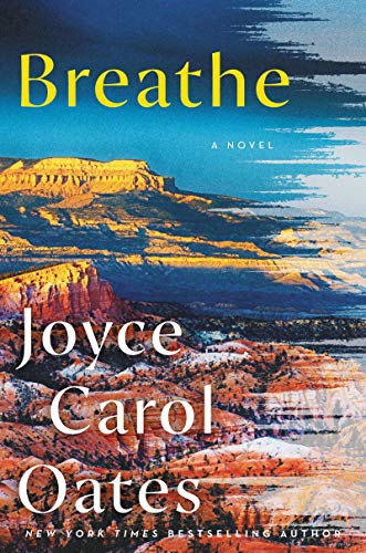 Breathe : a novel 