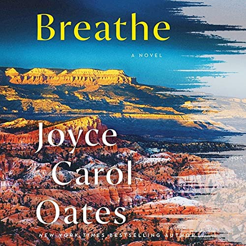 Breathe : a novel 