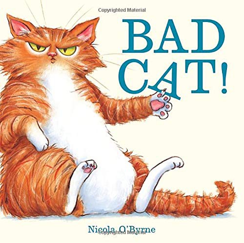 Bad cat! 