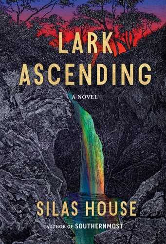 Lark ascending : a novel 