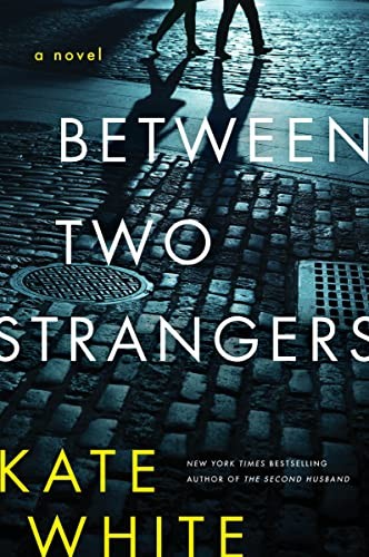 Between two strangers : a novel of suspense 