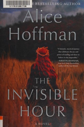 The invisible hour : a novel 