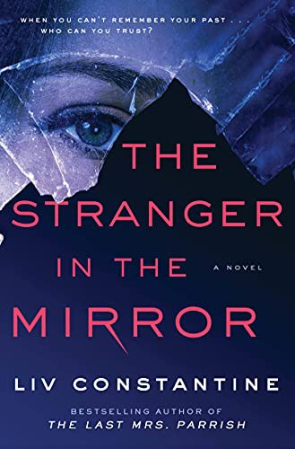 The stranger in the mirror : a novel 