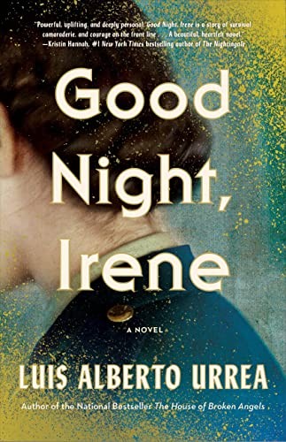 Goodnight, Irene : a novel 