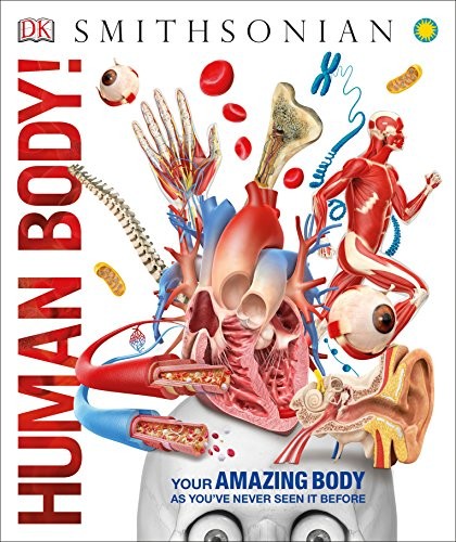 Human body! 