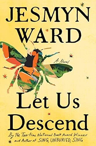 Let us descend : a novel 