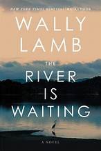 The river is waiting : a novel 