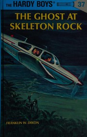The ghost at Skeleton Rock  Cover Image