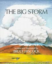 The big storm  Cover Image