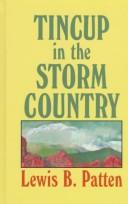 Tincup in the storm country : a western story  Cover Image