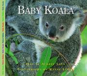 Baby koala  Cover Image
