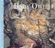 Baby owl  Cover Image