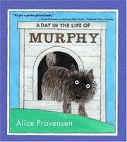 A day in the life of Murphy  Cover Image