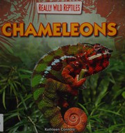 Chameleons bReally wild reptiles Cover Image