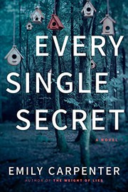 Every single secret : a novel  Cover Image