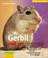 Go to record My gerbil and me