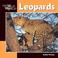 Go to record Leopards