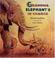Go to record Grandma elephant's in charge