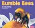 Go to record Bumble bees