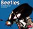 Go to record Beetles